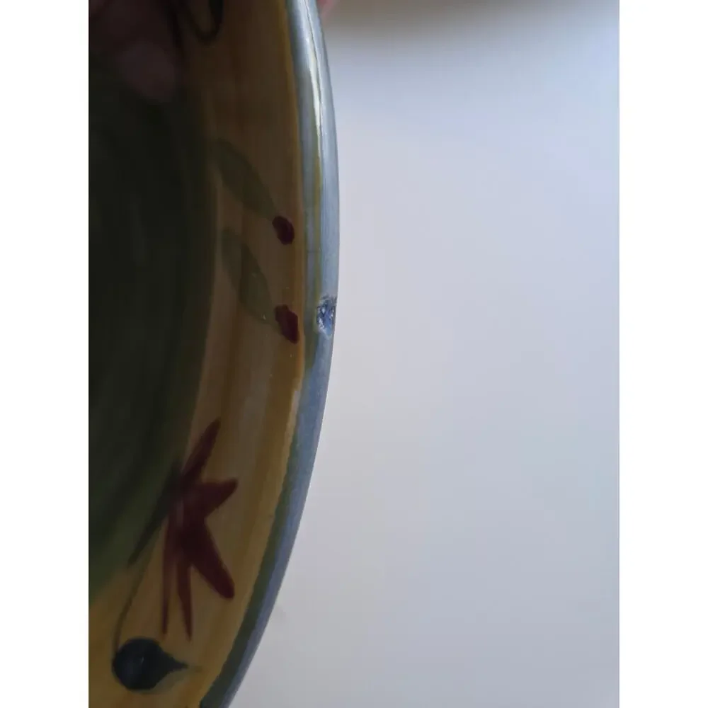Set of 2 Pier 1 Elizabeth Stoneware Dinner Plates 11 5/8